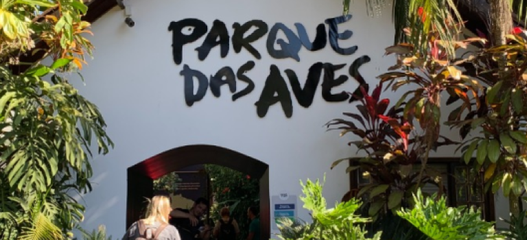 Captura de tela 2026-03-17 170226